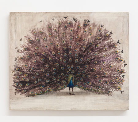 Nathanaëlle Herbelin, "Paon", 2018, huile sur bois, 38 x 46 cm