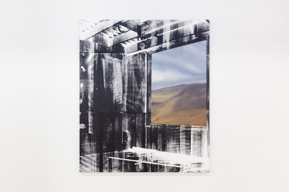 Eva Nielsen, Zamak II, oil, acrylic and silkscreen on canvas, 200x170cm