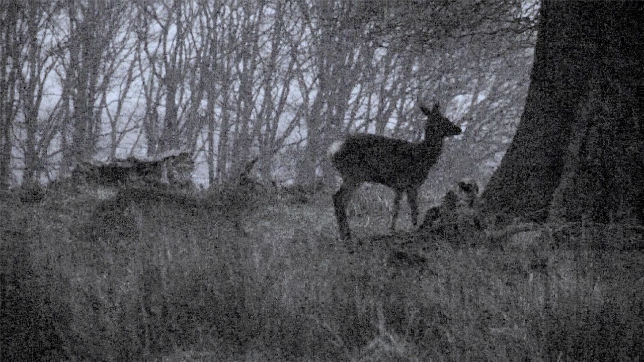 anne-charlotte_finel_entre_chien_et_loup_3