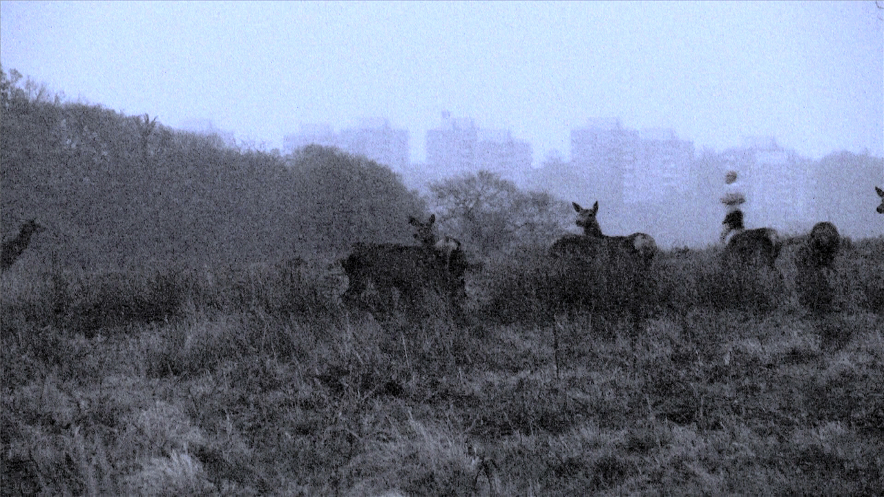 anne-charlotte_finel_entre_chien_et_loup_5