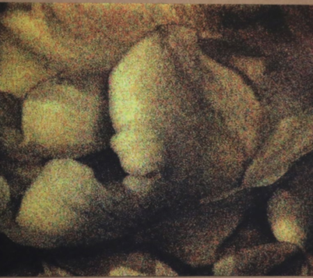 Anne-Charlotte Finel, Triste champignionniste 1, sérigraphie (quadrichromie), 2017, 45 x 60 cm