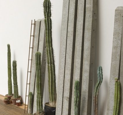 Rometti Costales, "Succulent Strategies / Estrategias Suculentas", 2014, cactus, 18 poteaux de béton et barres de renforcement, dimensions variables