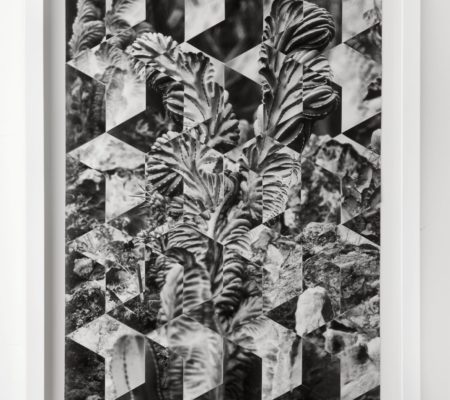 Rometti Costales, "Cosmovisión", 2013, cut outs made from 2 black & white photographic prints, 40 x 57 cm