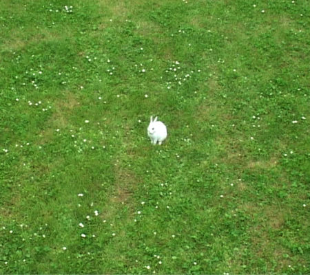 Martin Le Chevallier, "Félicité", 2001, vidéo interactive - galerie Jousse Entreprise