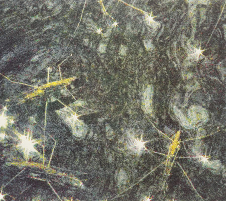 Gerridae, 2020, sérigraphie quadrichromie, 50 x 70 cm_3_web