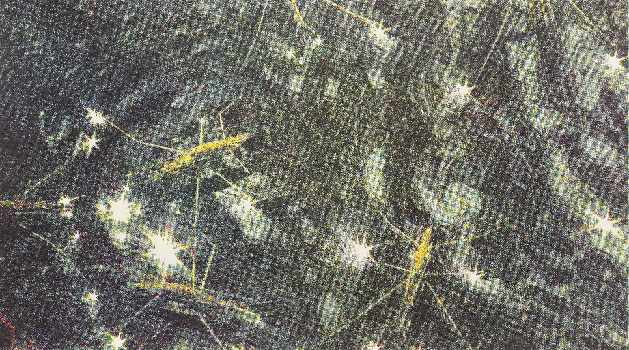 Gerridae, 2020, sérigraphie quadrichromie, 50 x 70 cm_3_web