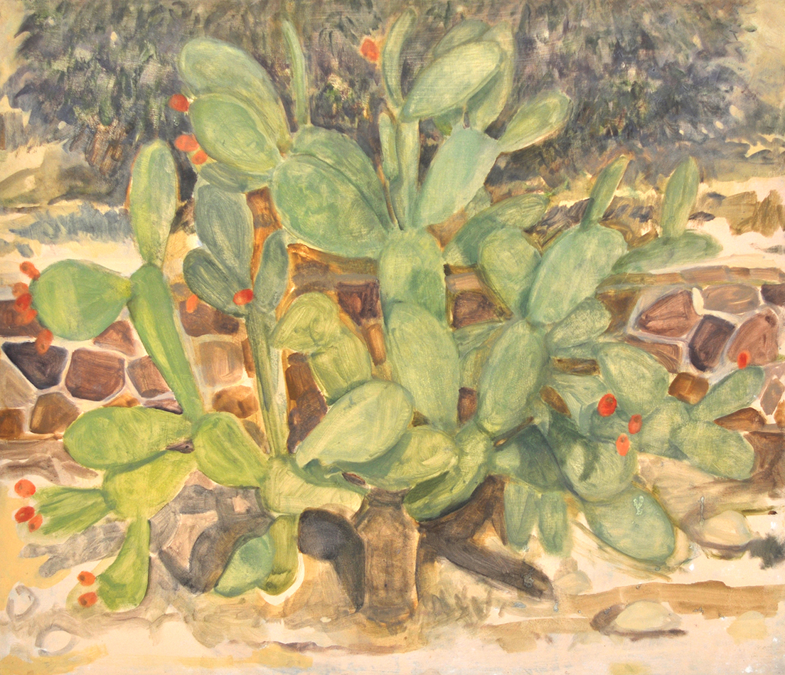 Cactus, Arad, jour, 2018, 38 x 46 cm, huile sur bois_web