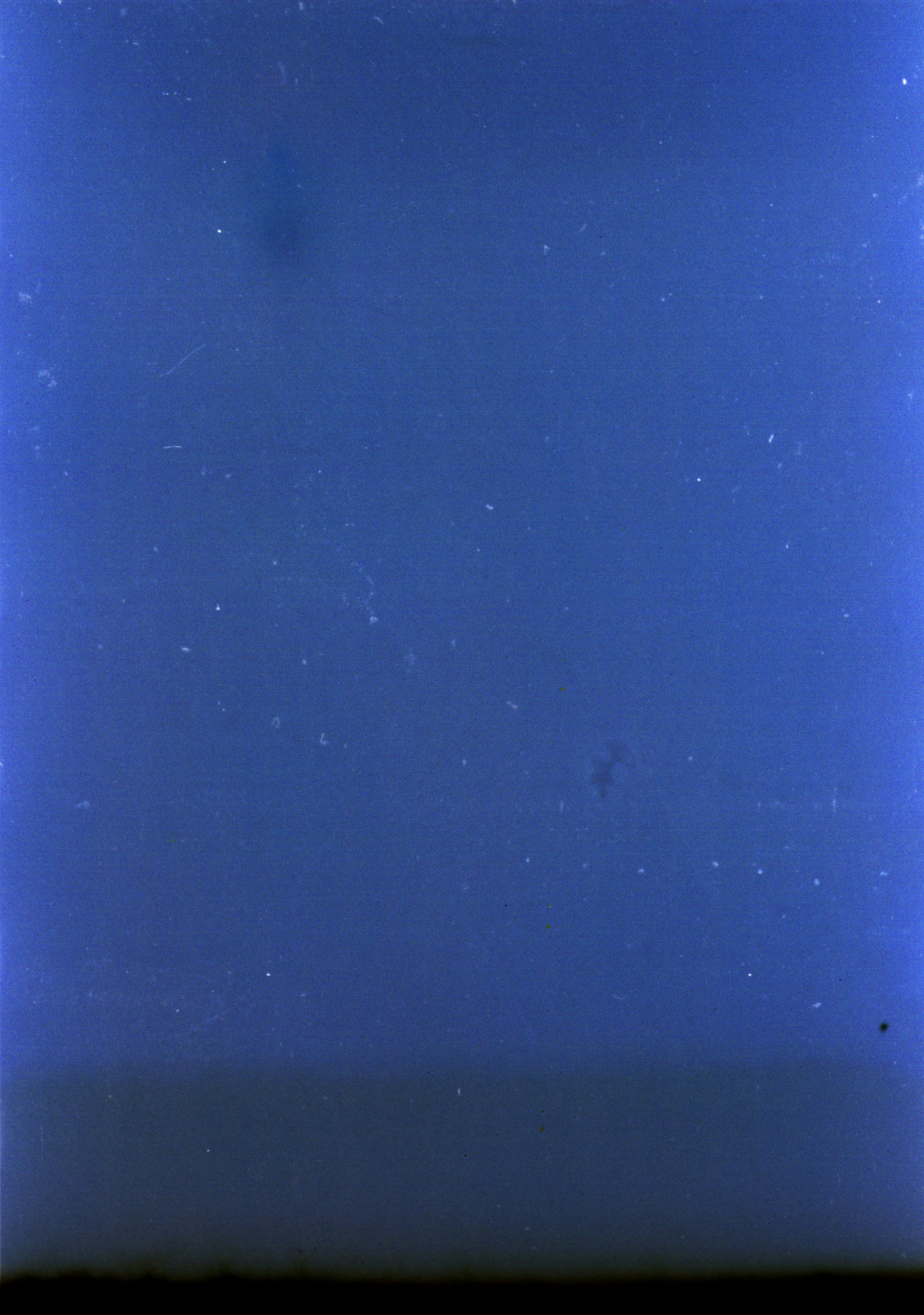 Jousse_Mao Tao_After blue_2012