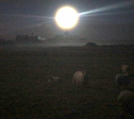 Annecharlottefinel_brouillard_video_joussentreprise