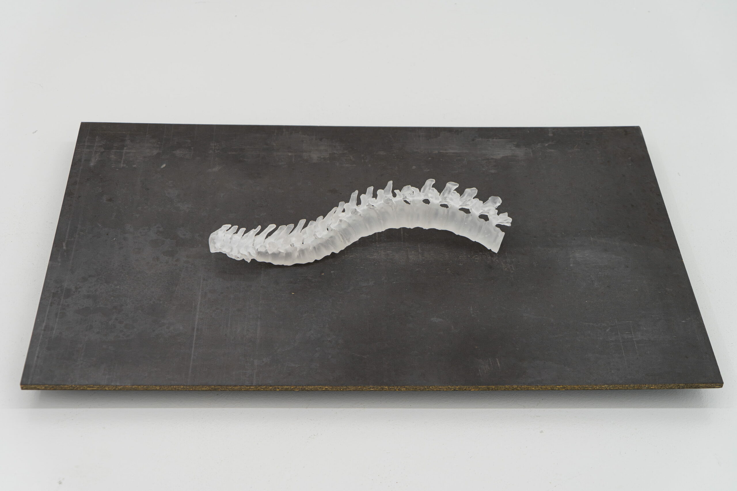 victoireinchauspe_kindnessr_galeriejousseentreprise