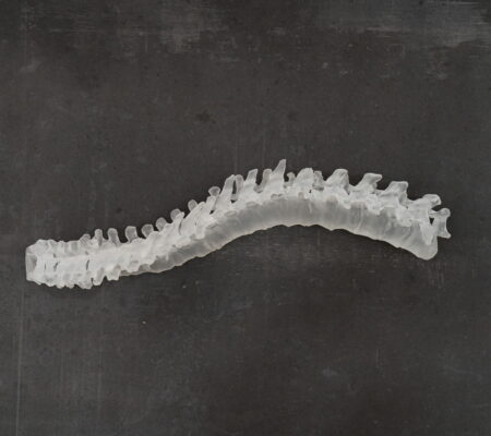 victoireinchauspe_kindnessr_galeriejousseentreprise