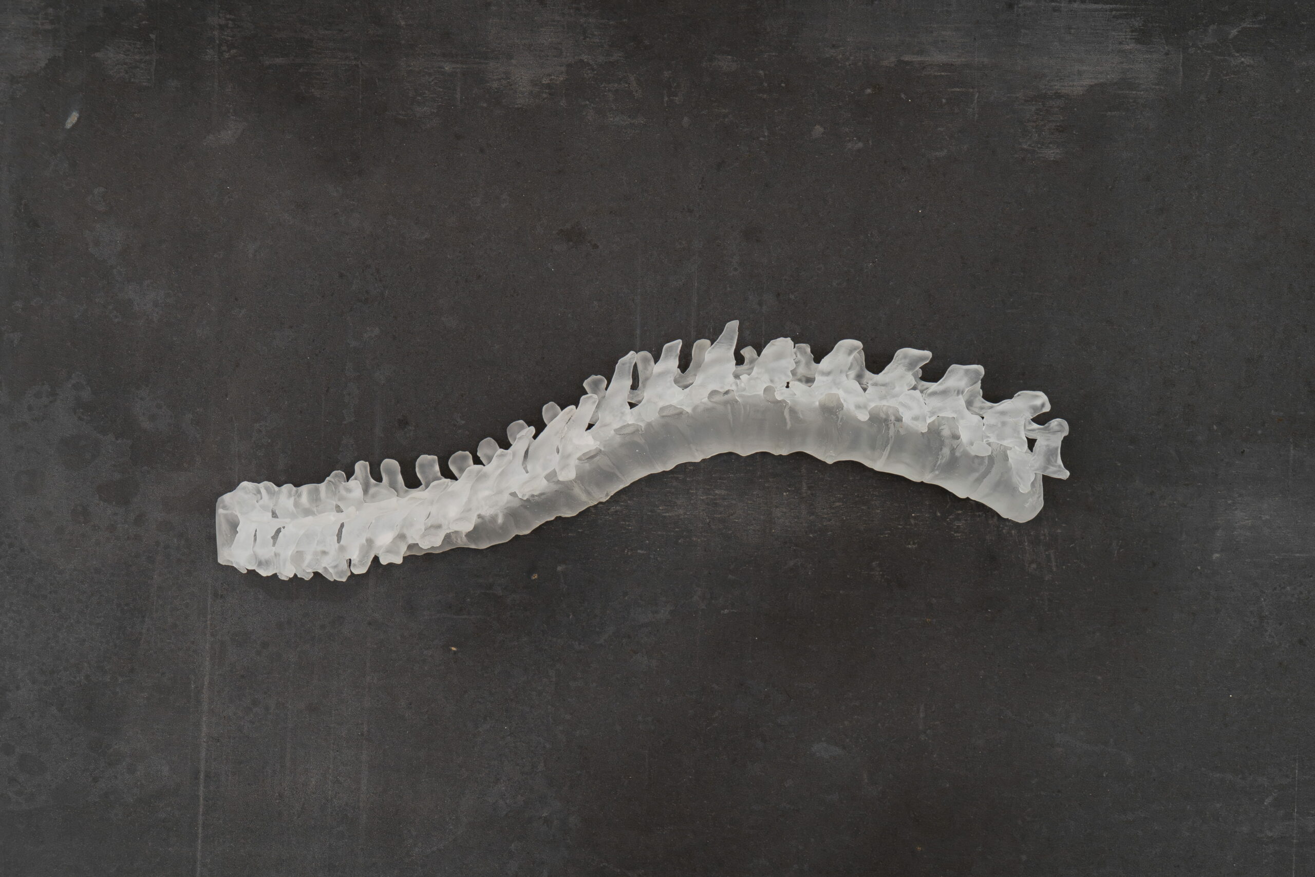 victoireinchauspe_kindnessr_galeriejousseentreprise