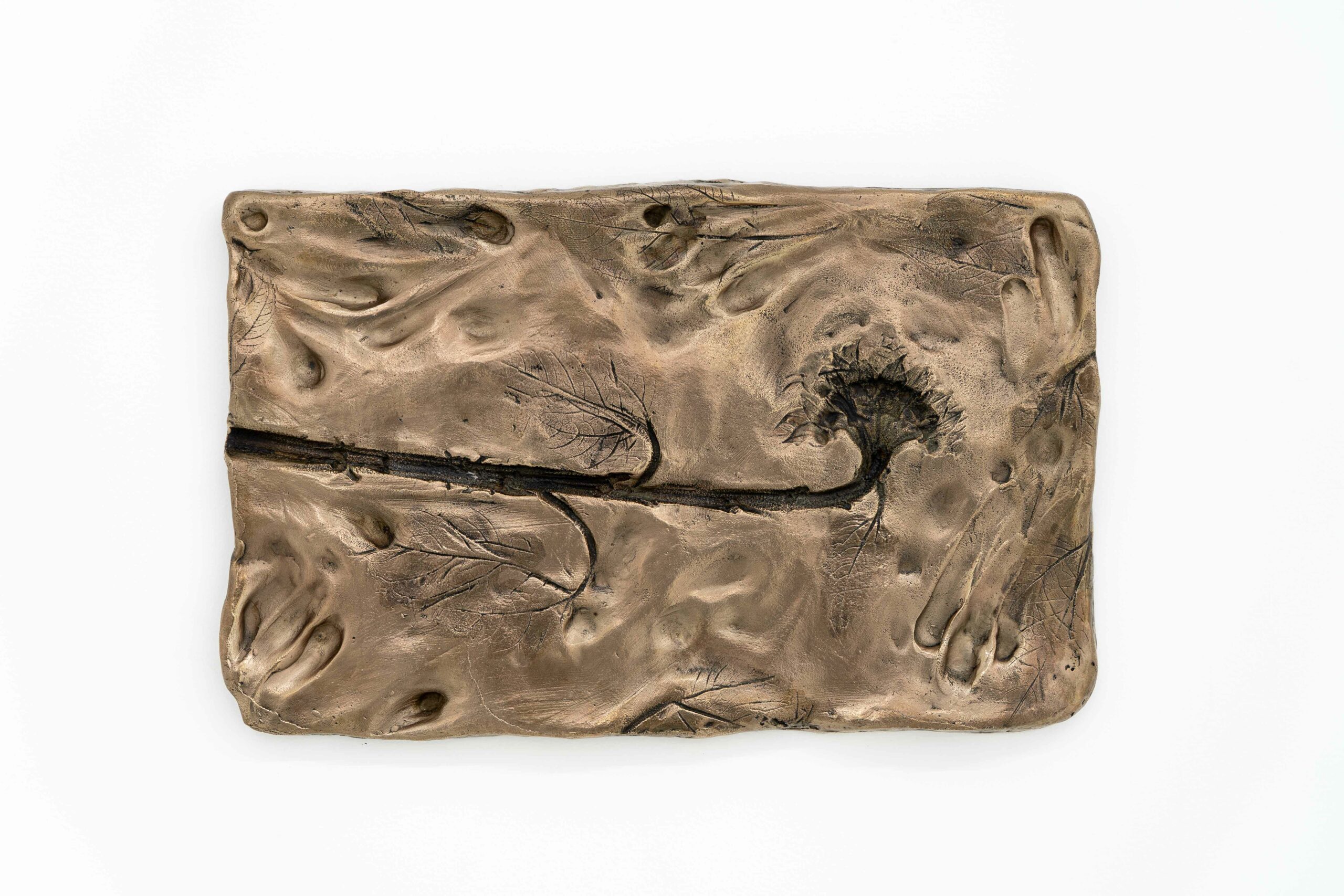 victoireinchauspe_champdevagues_jousseentreprise