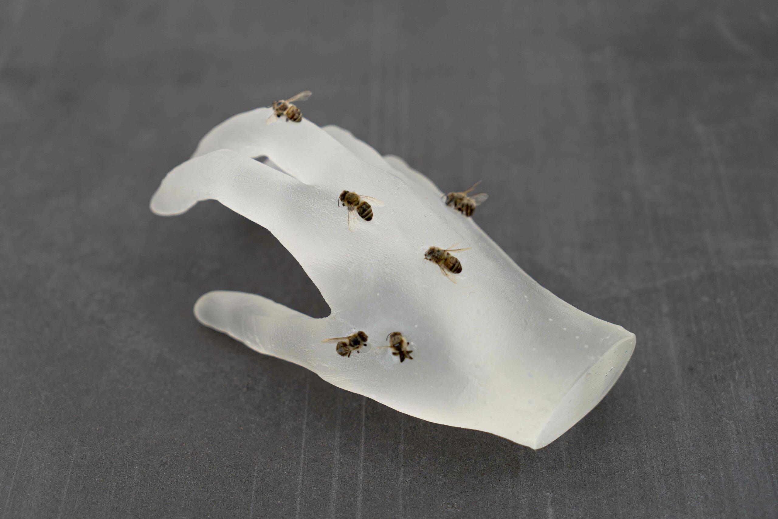 victoireinchauspe_this_galeriejousseentreprise