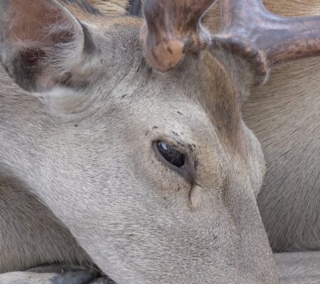 victoireinchauspe_thinking_galeriejousseentreprise