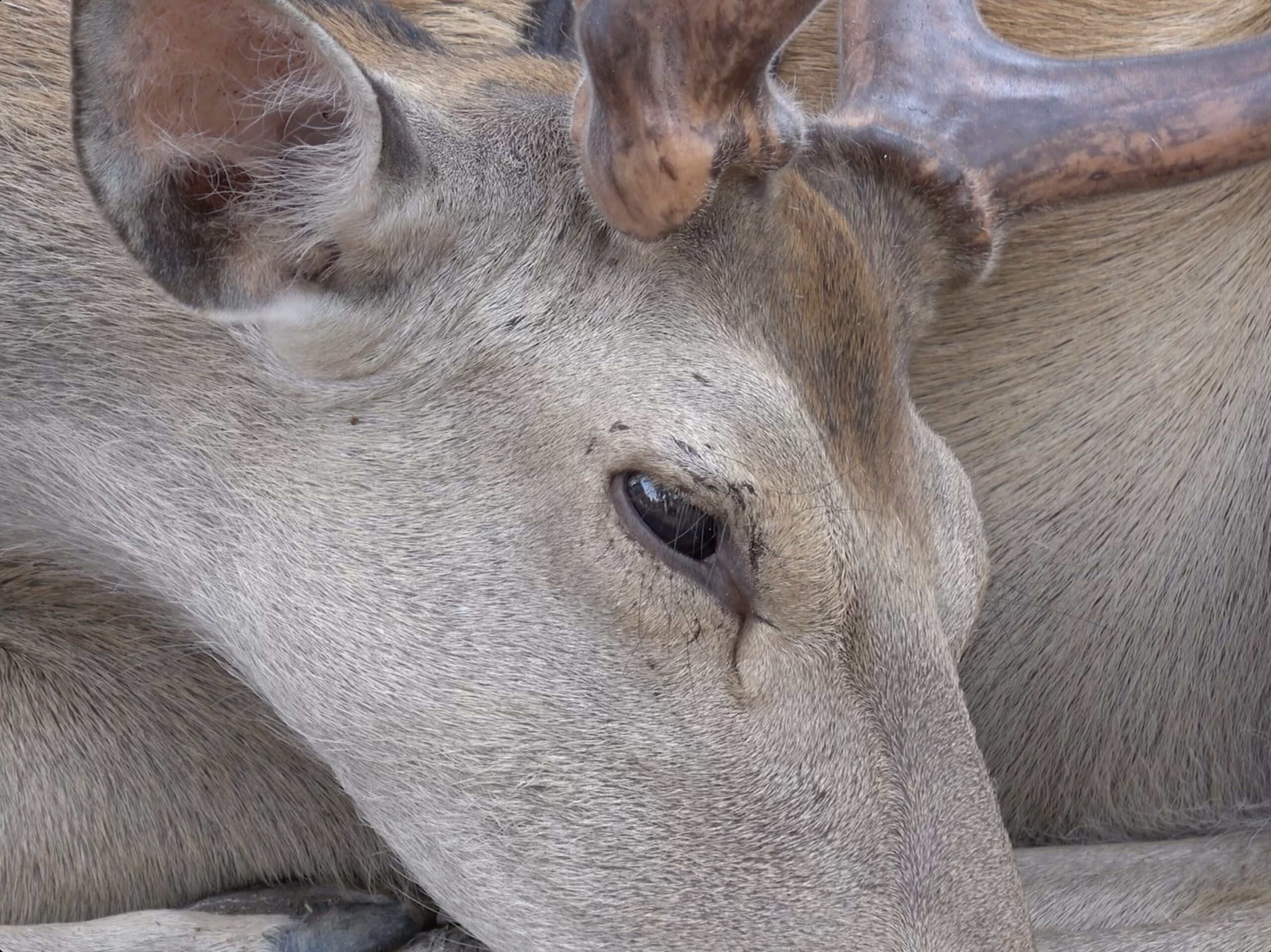 victoireinchauspe_thinking_galeriejousseentreprise